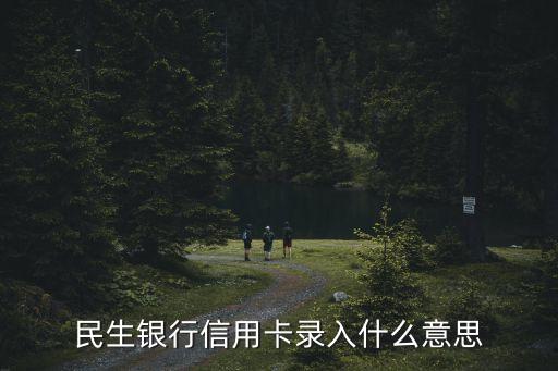 民生银行信用卡录入什么意思