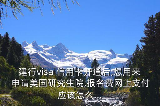 建行visa 信用卡开通后,想用来 申请美国研究生院,报名费网上支付应该怎么...