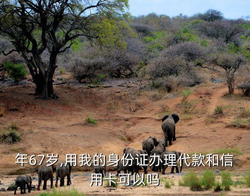 年67岁,用我的身份证办理代款和信用卡可以吗