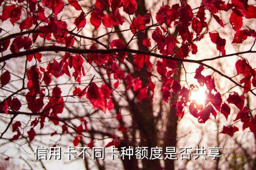 车贷专用的信用卡有额度吗,有没有额度很高的车贷信用卡