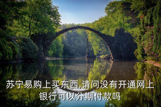 苏宁易购上买东西,请问没有开通网上银行可以分期付款吗