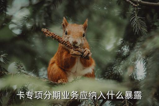 卡专项分期业务应纳入什么暴露