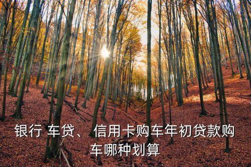 银行 车贷、 信用卡购车年初贷款购车哪种划算