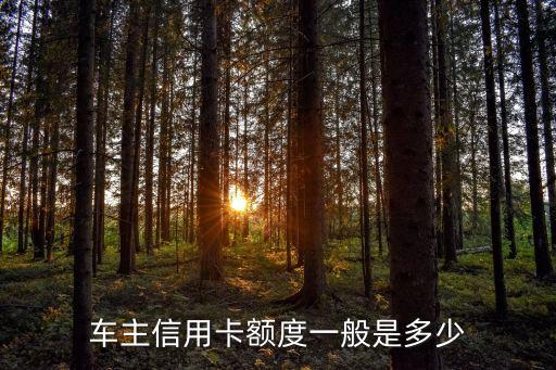 车主信用卡正常额度,浦发车主卡信用卡额度