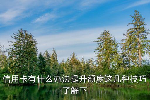 信用卡有什么办法提升额度这几种技巧了解下