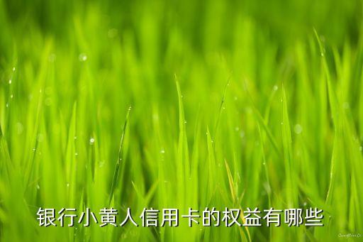 银行小黄人信用卡的权益有哪些