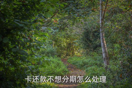 卡还款不想分期怎么处理