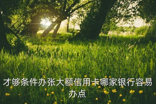 才够条件办张大额信用卡哪家银行容易办点