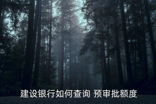  建设银行如何查询 预审批额度