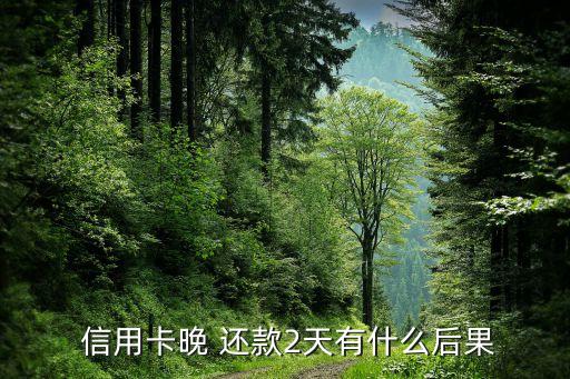  信用卡晚 还款2天有什么后果