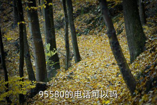 95580的电话可以吗