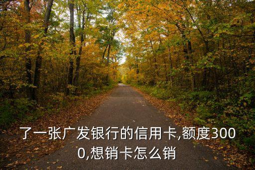 了一张广发银行的信用卡,额度3000,想销卡怎么销