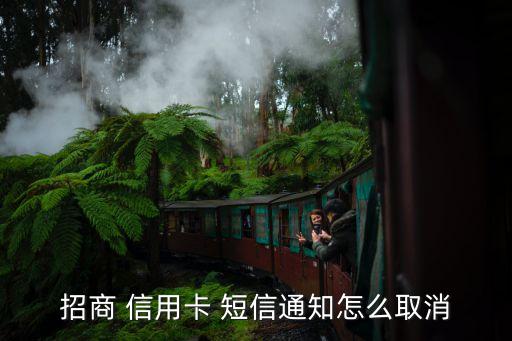 招商 信用卡 短信通知怎么取消