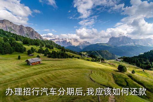 办理招行汽车分期后,我应该如何还款