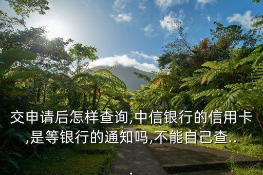 交申请后怎样查询,中信银行的信用卡,是等银行的通知吗,不能自己查...