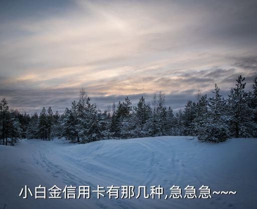 芭比美丽信用卡多久还款,打造芭比美丽信用卡