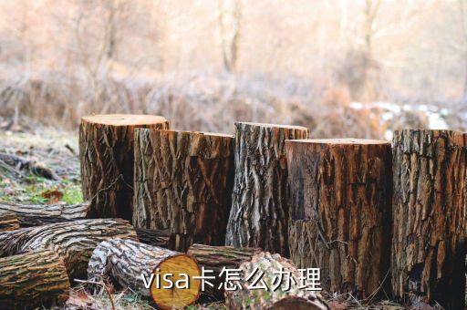 visa卡怎么办理