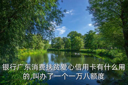 银行广东消费扶贫爱心信用卡有什么用的,叫办了一个一万八额度