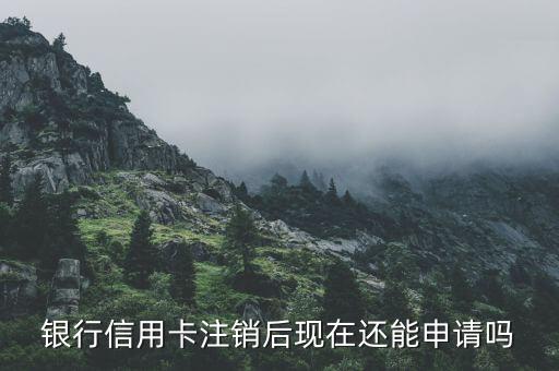 银行信用卡注销后现在还能申请吗