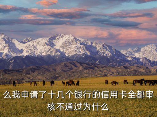么我申请了十几个银行的信用卡全都审核不通过为什么