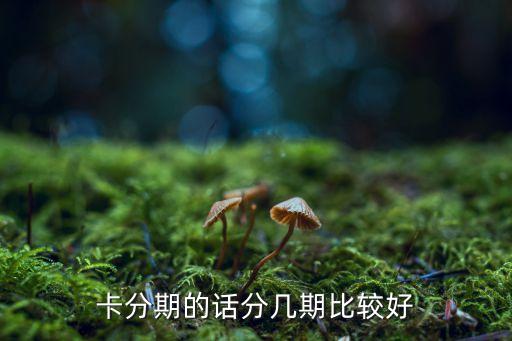 卡分期的话分几期比较好