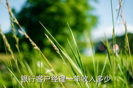 银行客户经理一年收入多少