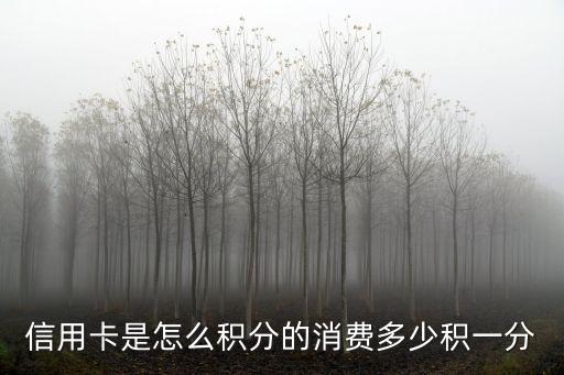 信用卡是怎么积分的消费多少积一分