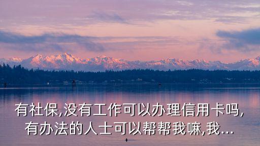 有社保,没有工作可以办理信用卡吗,有办法的人士可以帮帮我嘛,我...