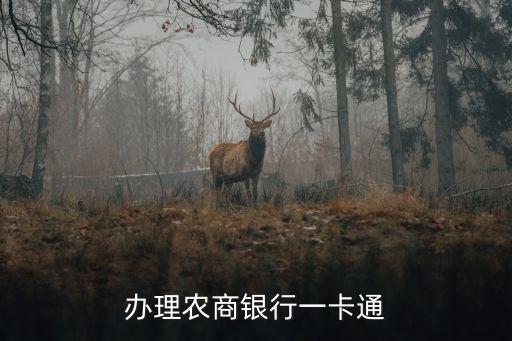 办理农商银行一卡通
