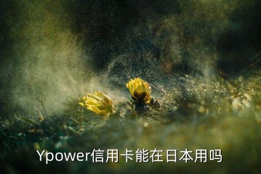 Ypower信用卡能在日本用吗