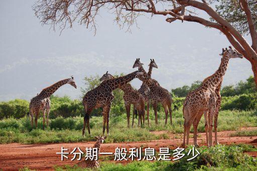 卡分期一般利息是多少