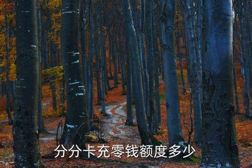 分分卡充零钱额度多少