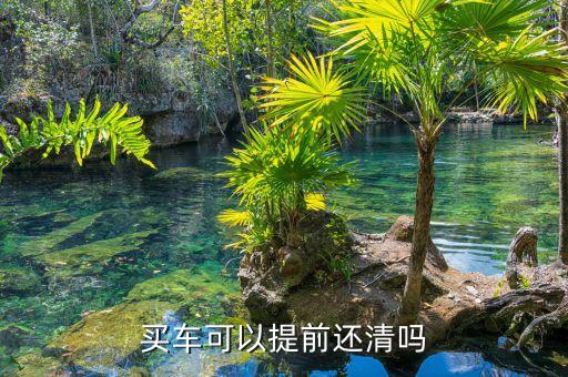 买车可以提前还清吗