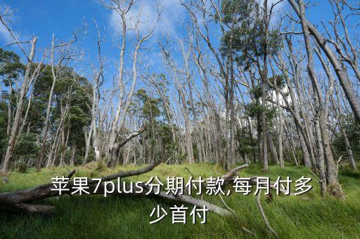  苹果7plus分期付款,每月付多少首付