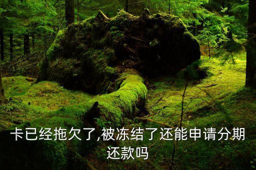 生前欠银行信用卡分期付款,银行信用卡分期手续费