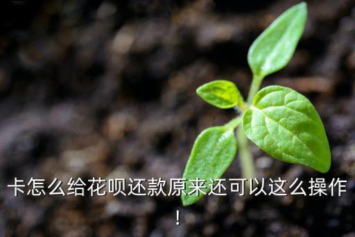 卡怎么给花呗还款原来还可以这么操作!