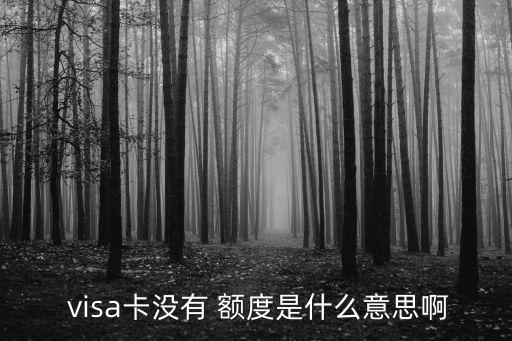 招行visa信用卡怎么没有额度是多少钱