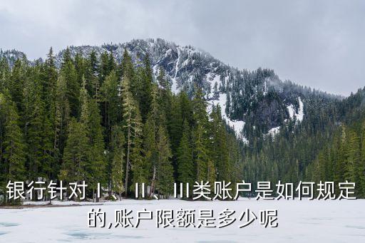 银行针对Ⅰ、Ⅱ、Ⅲ类账户是如何规定的,账户限额是多少呢