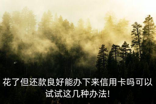 征信花幸福分期信用卡,信用卡分期收款会不会收费