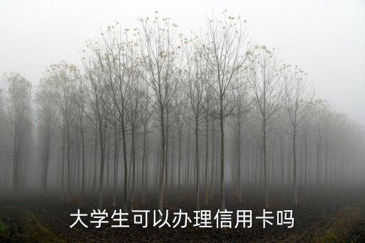 大学生可以办理信用卡吗