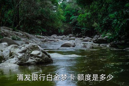 浦发梦系列信用卡额度,浦发信用卡超限额度怎么刷不出来