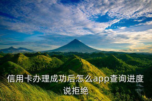 信用卡办理成功后怎么app查询进度说拒绝
