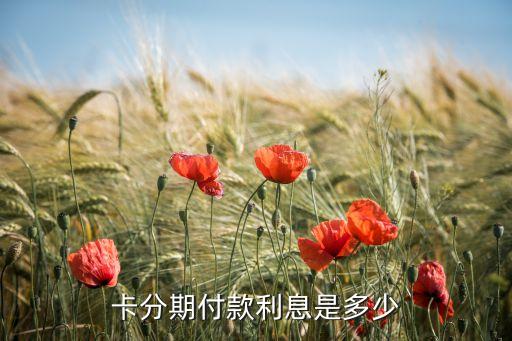 卡分期付款利息是多少