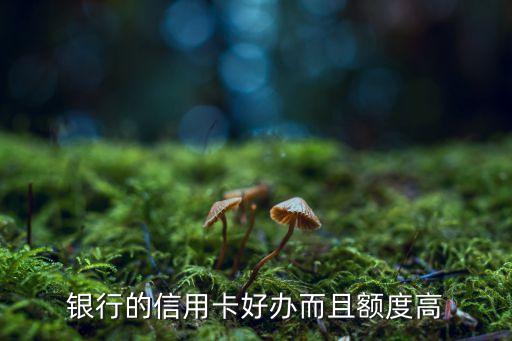 银行的信用卡好办而且额度高