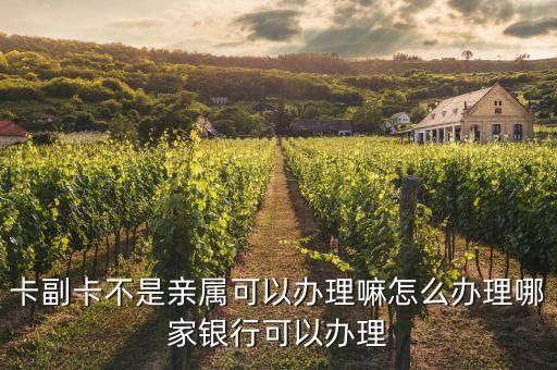 卡副卡不是亲属可以办理嘛怎么办理哪家银行可以办理