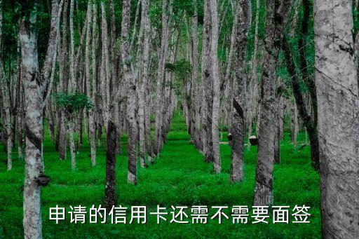 哪里银行信用卡不面签,什么银行信用卡不用本人签字