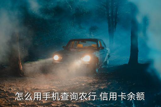 怎么用手机查询农行 信用卡余额