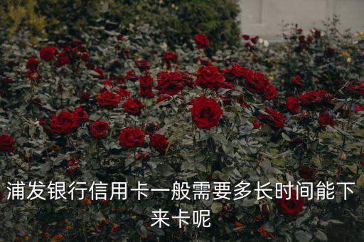 浦发银行信用卡一般需要多长时间能下来卡呢