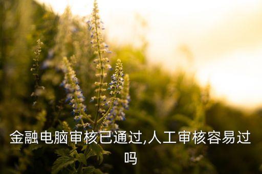 金融电脑审核已通过,人工审核容易过吗