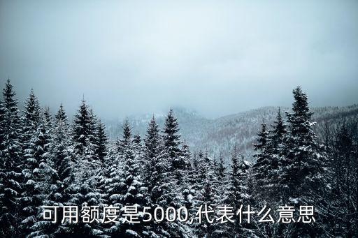 可用额度是5000,代表什么意思